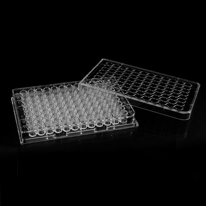 96 Well Culture Plate Used for Cell Culture
